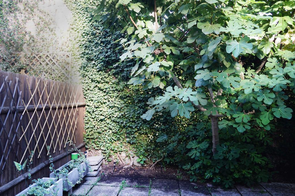 La Maisonette Et Son Jardin البندقية المظهر الخارجي الصورة
